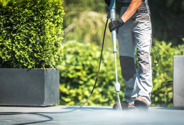 Best Roof Washing  in Tea, SD