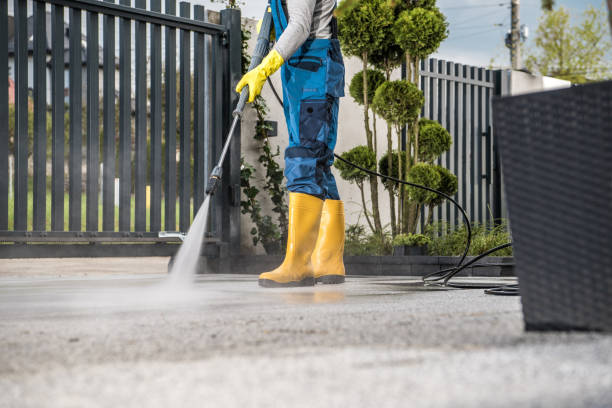 Best Sidewalk and Walkway Cleaning  in Tea, SD